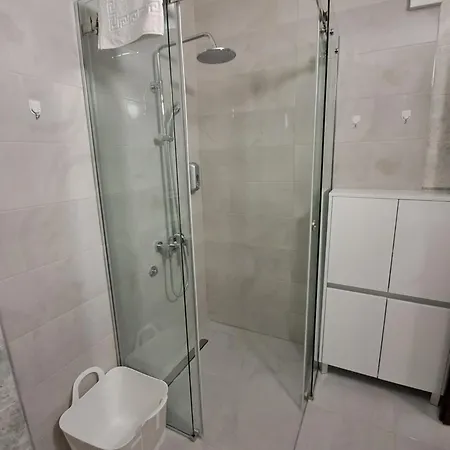 Zenit Ni